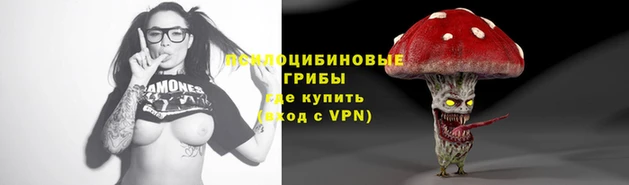 индика Абдулино