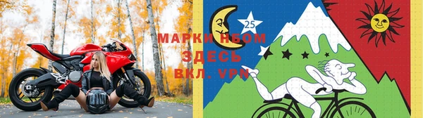 индика Абдулино